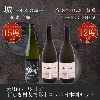 木城町・毛呂山町 新しき村友情都市コラボ 日本酒2種3本セット(城1本・Alabanza2本)