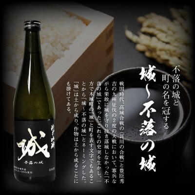 【先行受付】令和7年産 新しき村友情都市コラボ 日本酒 純米吟醸「城 ～不落の城」4本