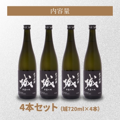 【訳あり】令和6年産 日本酒 純米吟醸「城～不落の城」4本　K21_0016_2
