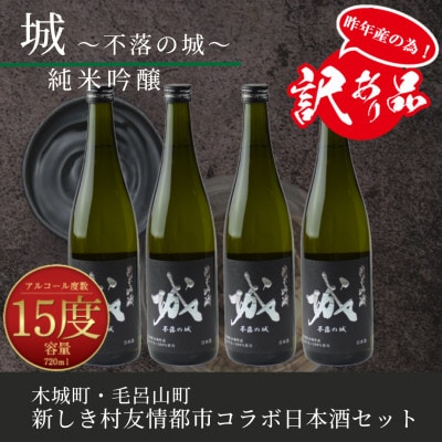 【訳あり】令和7年産 日本酒 純米吟醸「城～不落の城」4本　K21_0016_3