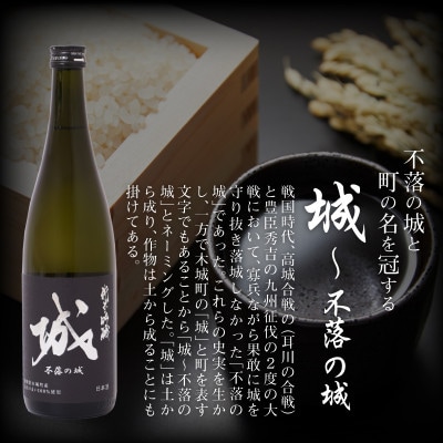 【訳あり】令和7年産 日本酒 純米吟醸「城～不落の城」4本　K21_0016_3