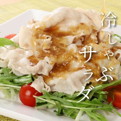 宮崎プレミアム和豚味彩バラエティセット 1.5kg
