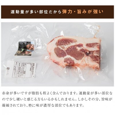 放牧和豚 ウデ500gブロック