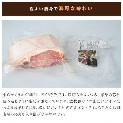 放牧和豚ロース 500g ブロック