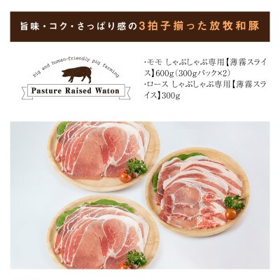 【2025年6月上旬発送】≪放牧和豚≫ 健康しゃぶしゃぶセット 900g