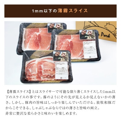 【2025年6月上旬発送】≪放牧和豚≫ 健康しゃぶしゃぶセット 900g