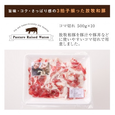 ≪放牧和豚≫　こま切れ 500g×10 【合計5kg】