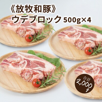 ≪放牧和豚≫ウデブロック500g×4 【合計2kg】