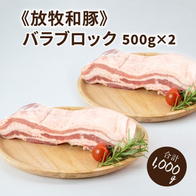 ≪放牧和豚≫バラブロック 500g×2【合計1kg】