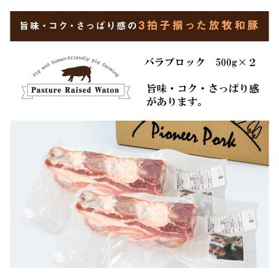 ≪放牧和豚≫バラブロック 500g×2【合計1kg】