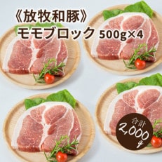 ≪放牧和豚≫モモブロック 500g&times;4【合計2kg】