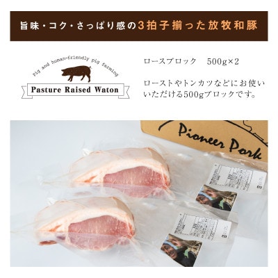 ≪放牧和豚≫ロースブロック 500g×2【合計1kg】