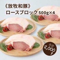 ≪放牧和豚≫ロースブロック 500g&times;4【合計2kg】