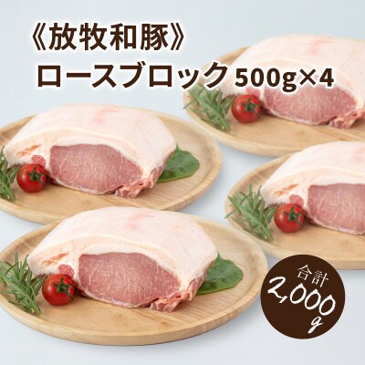 ≪放牧和豚≫ロースブロック 500g×4【合計2kg】