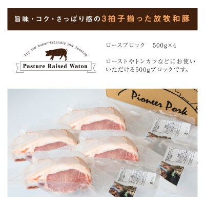 ≪放牧和豚≫ロースブロック 500g×4【合計2kg】