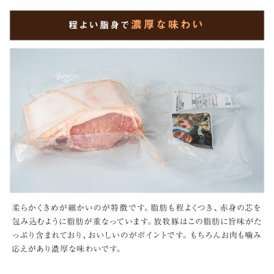 ≪放牧和豚≫ロースブロック 500g×4【合計2kg】