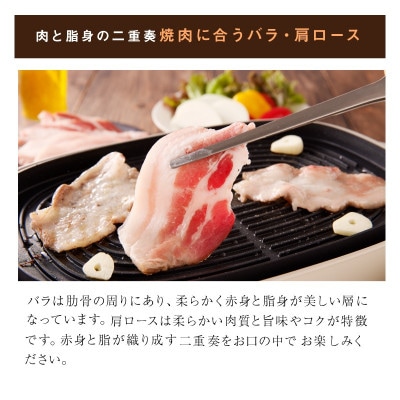 ≪放牧和豚≫Best dealセット【合計1,700g】
