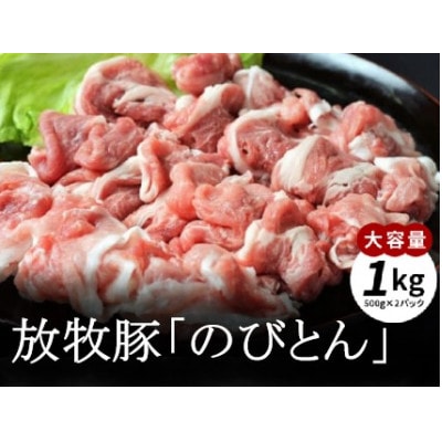 放牧豚「のびとん」スライスセット!500g×2パック