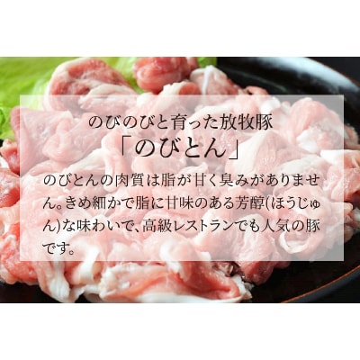 放牧豚「のびとん」スライスセット!500g×2パック