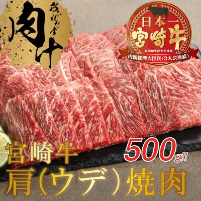 宮崎牛肩(ウデ)焼肉500g(木城町)