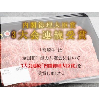宮崎牛肩(ウデ)焼肉500g(木城町)