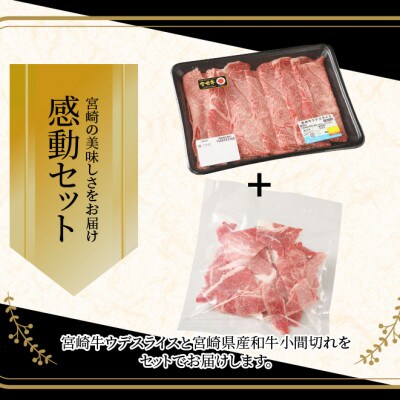 宮崎牛ウデスライス400g 宮崎県産和牛小間切れ100g(木城町)