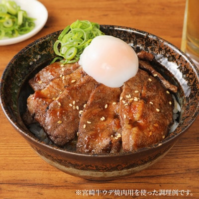 宮崎牛肩(ウデ)焼肉500g (木城町) K18_0017_6