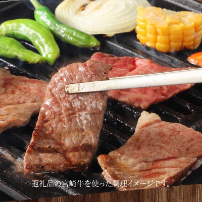 宮崎牛肩(ウデ)焼肉500g (木城町) K18_0017_6