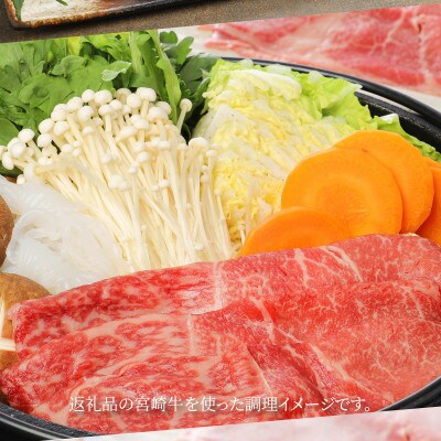 宮崎牛モモスライス500g (木城町) K18_0018_6