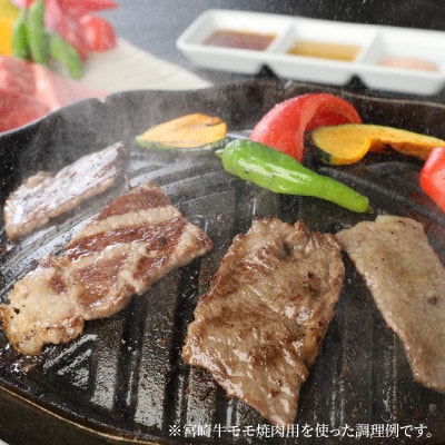 宮崎牛モモ焼肉500g (木城町) K18_0019_6
