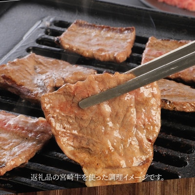 宮崎牛モモ焼肉500g (木城町) K18_0019_6