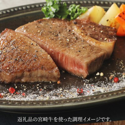 宮崎牛ロース・ヒレステーキセット950g (木城町) K18_0021_3