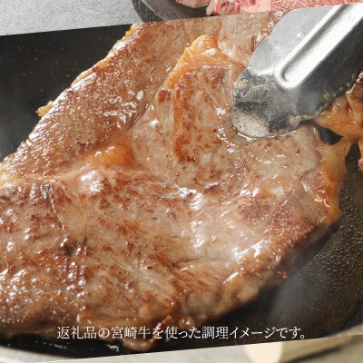 宮崎牛ロース・ヒレステーキセット950g (木城町) K18_0021_3