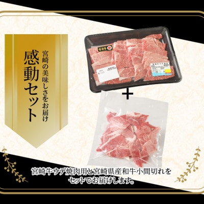 宮崎牛ウデ焼肉400g　宮崎県産和牛小間切れ100g (木城町) K18_0025_6
