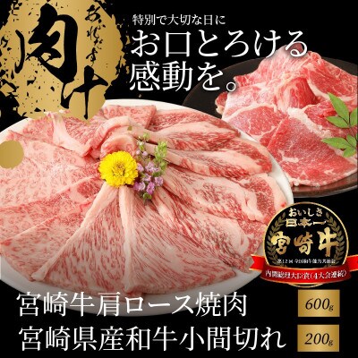 宮崎牛肩ロース焼肉600g　宮崎県産和牛小間切れ200g (木城町) K18_0035_6