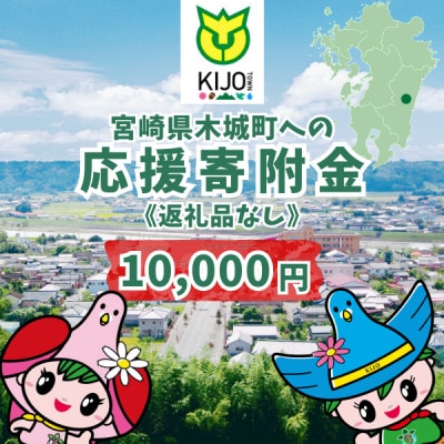 【返礼品なし】宮崎県木城町への応援寄附金(10,000円分)支援 K00_0007