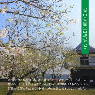 【返礼品なし】宮崎県木城町への応援寄附金(10,000円分)支援 K00_0007