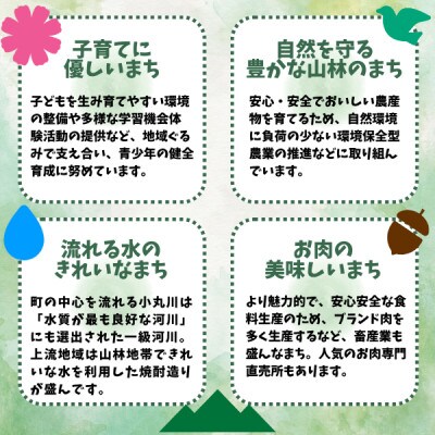 【返礼品なし】宮崎県木城町への応援寄附金(10,000円分)支援 K00_0007