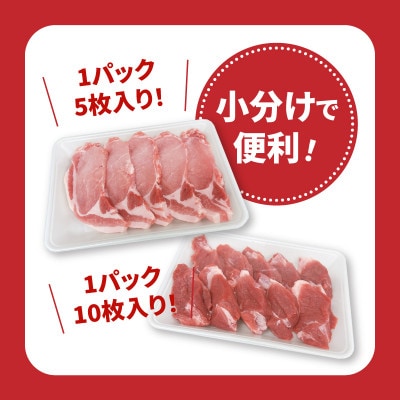 宮崎県産豚肉ロースカツ、ヒレカツセット 計1.3kg(木城町)
