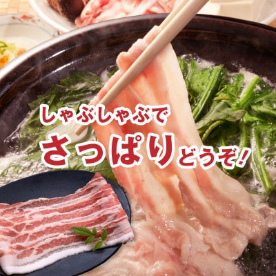 宮崎県産豚肉バラしゃぶ1.2kgセット(木城町)