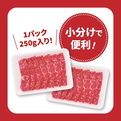 宮崎県産黒毛和牛赤身スライス切落し1.5kgセット(木城町)
