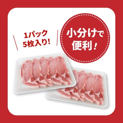 宮崎県産豚肉ロースカツ用30枚セット(木城町)