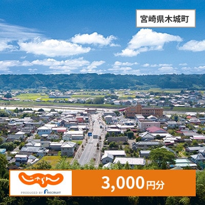 【じゃらんふるさと納税クーポン】 宮崎県木城町でつかえる3,000円 クーポン