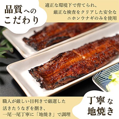 【大サイズ】清流うなぎ　炭火焼　蒲焼2尾セット