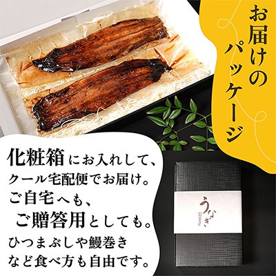 【大サイズ】清流うなぎ　炭火焼　蒲焼2尾セット