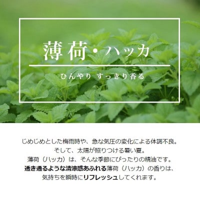 easeアロマスプレー　ハッカ 100ml 清涼感あふれる薄荷の香り　リフレッシュしたい時に