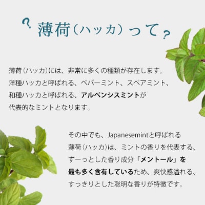 easeアロマスプレー　ハッカ 100ml 清涼感あふれる薄荷の香り　リフレッシュしたい時に