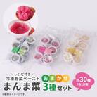 まんま菜　冷凍野菜ペーストおまかせ3種セット