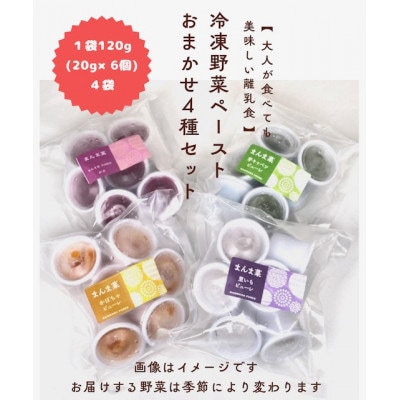 まんま菜　冷凍野菜ペーストおまかせ4種セット