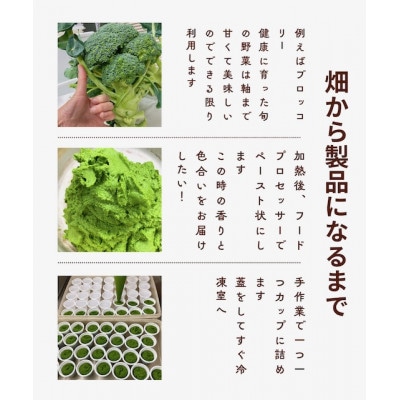 まんま菜　冷凍野菜ペーストおまかせ4種セット